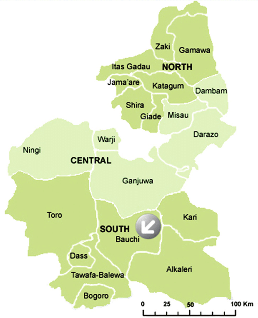 bauch phone database